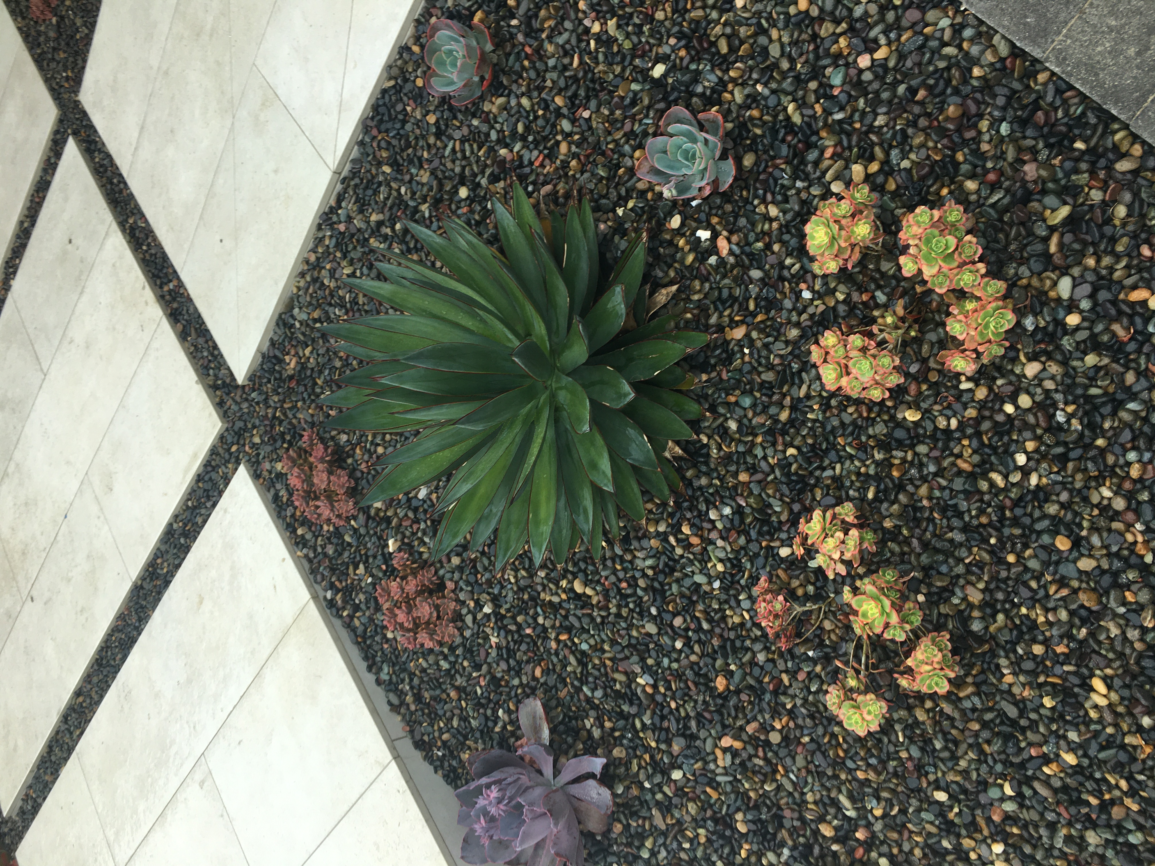 Outdoor project detail