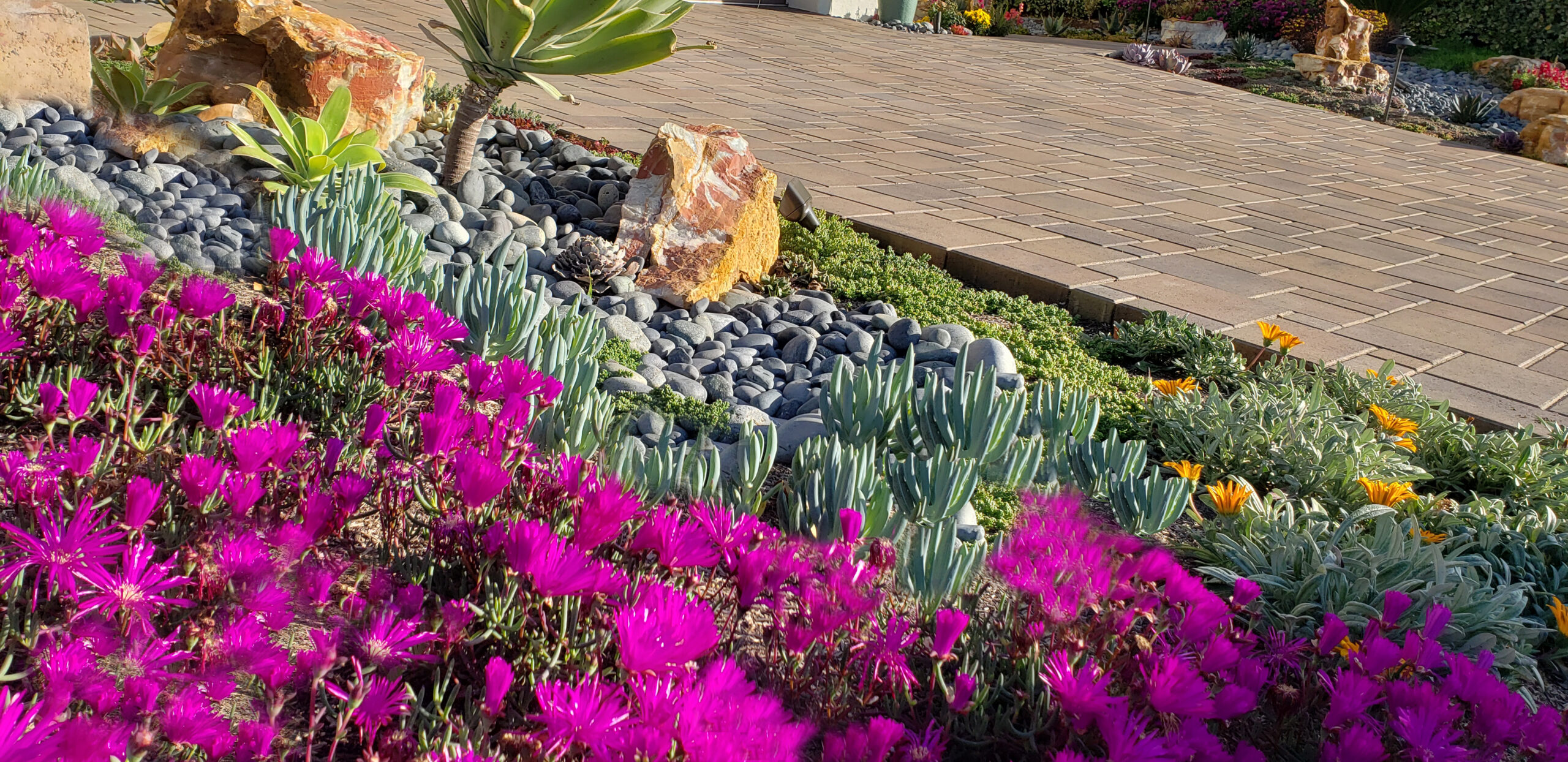 Colorful finished garden